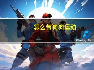 怎么带狗狗运动