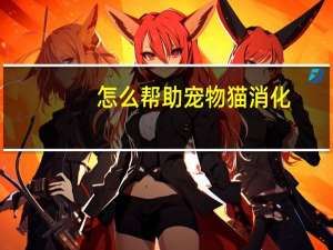 怎么帮助宠物猫消化