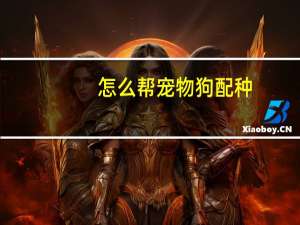 怎么帮宠物狗配种