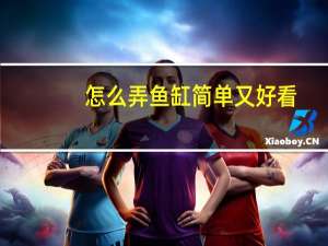 怎么弄鱼缸简单又好看