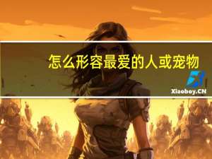 怎么形容最爱的人或宠物