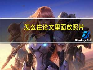 怎么往论文里面放照片