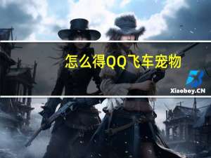 怎么得QQ飞车宠物