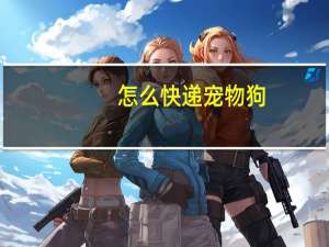 怎么快递宠物狗