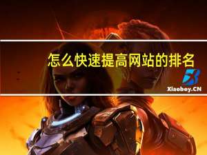 怎么快速提高网站的排名