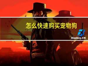 怎么快速购买宠物狗