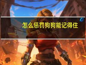 怎么惩罚狗狗能记得住