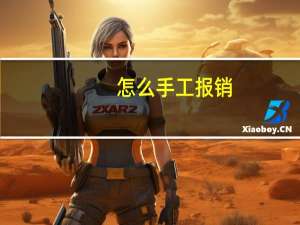 怎么手工报销