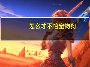 怎么才不怕宠物狗