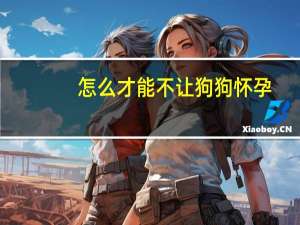 怎么才能不让狗狗怀孕