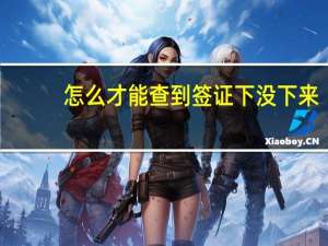 怎么才能查到签证下没下来