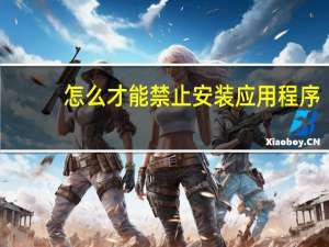 怎么才能禁止安装应用程序