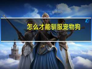 怎么才能驯服宠物狗