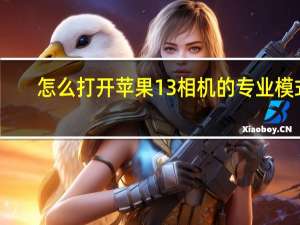 怎么打开苹果13相机的专业模式