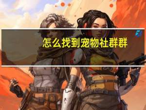 怎么找到宠物社群群