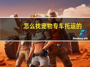 怎么找宠物专车托运的