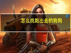 怎么找跑出去的狗狗