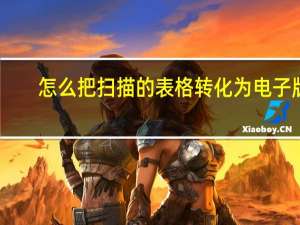 怎么把扫描的表格转化为电子版（扫描的表格怎么转换成excel）