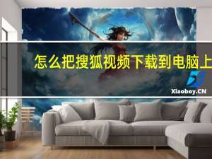 怎么把搜狐视频下载到电脑上？