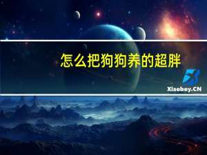 怎么把狗狗养的超胖