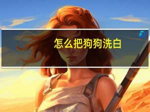怎么把狗狗洗白