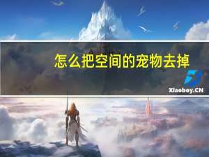 怎么把空间的宠物去掉