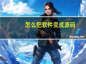 怎么把软件变成源码