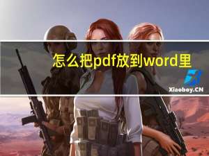 怎么把pdf放到word里