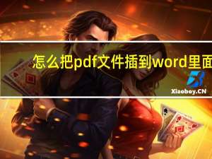 怎么把pdf文件插到word里面（如何将PDF文件插入到WORD中）