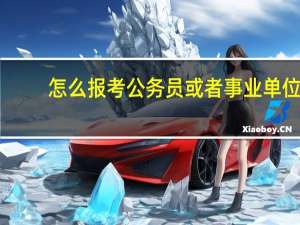 怎么报考公务员或者事业单位