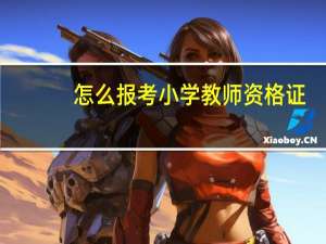 怎么报考小学教师资格证