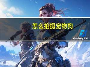 怎么拍摄宠物狗