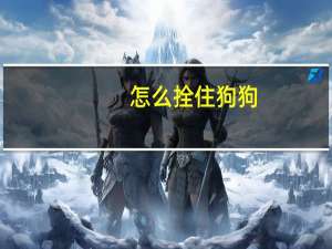 怎么拴住狗狗