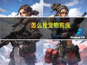 怎么拴宠物狗绳