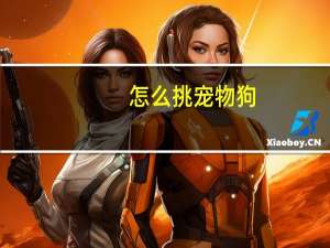 怎么挑宠物狗
