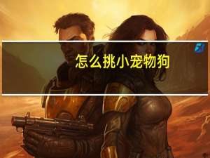怎么挑小宠物狗