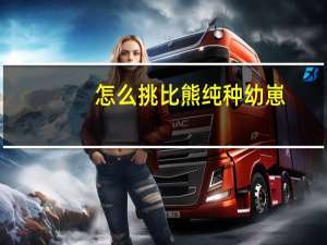 怎么挑比熊纯种幼崽