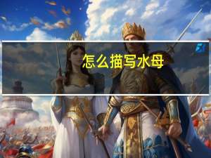 怎么描写水母