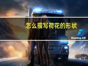 怎么描写荷花的形状