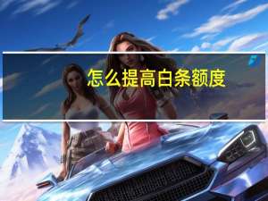 怎么提高白条额度