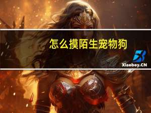 怎么摸陌生宠物狗