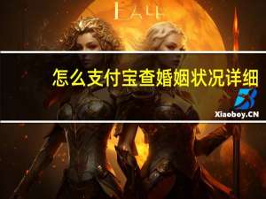 怎么支付宝查婚姻状况详细