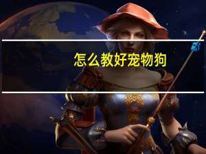 怎么教好宠物狗