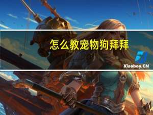 怎么教宠物狗拜拜