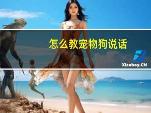 怎么教宠物狗说话