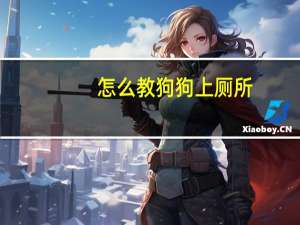 怎么教狗狗上厕所