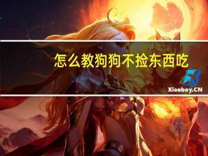 怎么教狗狗不捡东西吃