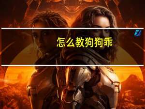 怎么教狗狗乖