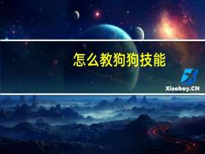 怎么教狗狗技能