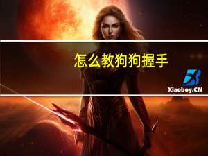 怎么教狗狗握手